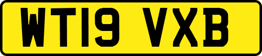 WT19VXB