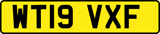 WT19VXF