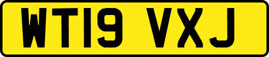 WT19VXJ