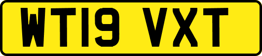WT19VXT