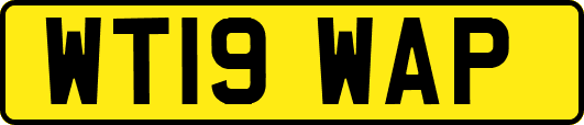 WT19WAP
