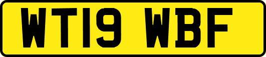 WT19WBF