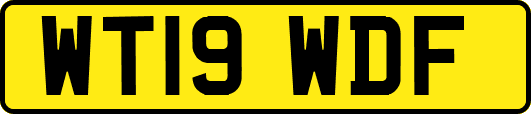 WT19WDF