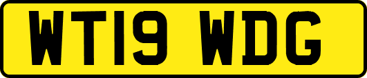 WT19WDG