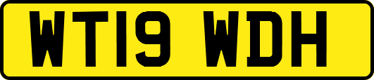 WT19WDH