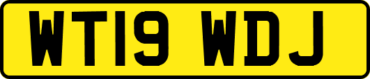 WT19WDJ