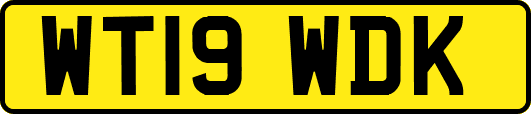 WT19WDK