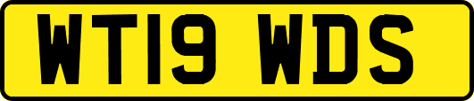 WT19WDS