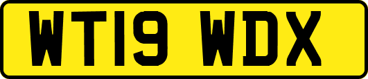 WT19WDX