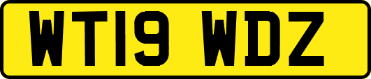 WT19WDZ