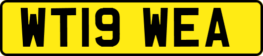 WT19WEA