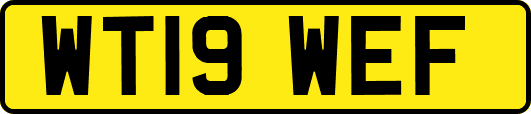 WT19WEF