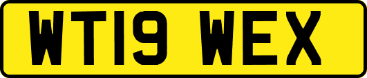 WT19WEX
