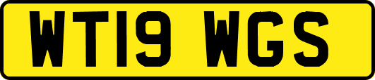 WT19WGS