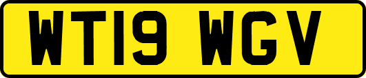 WT19WGV