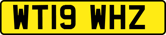 WT19WHZ