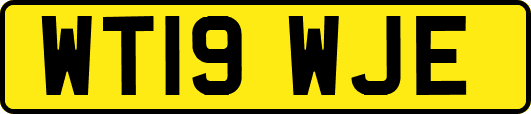 WT19WJE