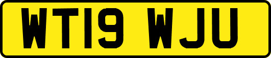 WT19WJU