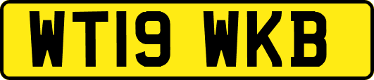 WT19WKB