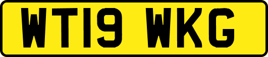 WT19WKG