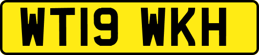 WT19WKH