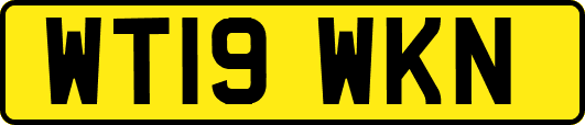 WT19WKN