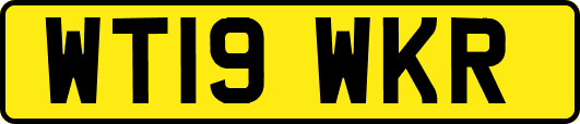 WT19WKR
