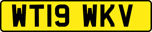 WT19WKV