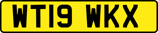 WT19WKX