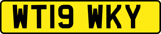 WT19WKY