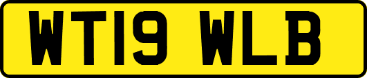 WT19WLB