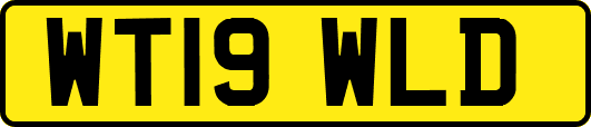 WT19WLD
