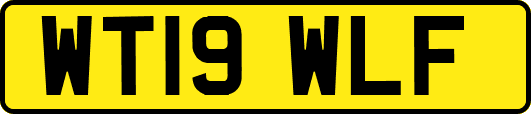 WT19WLF