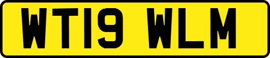 WT19WLM