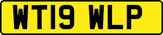 WT19WLP