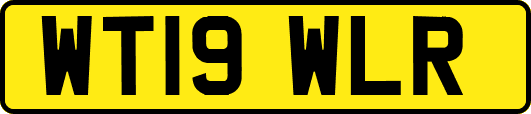 WT19WLR