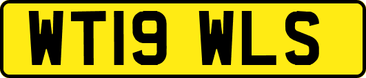 WT19WLS