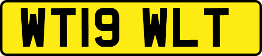 WT19WLT