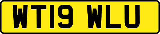 WT19WLU