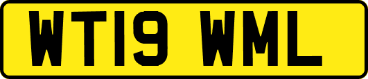 WT19WML