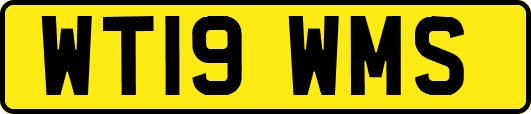 WT19WMS
