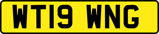 WT19WNG