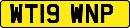 WT19WNP