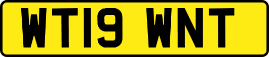 WT19WNT