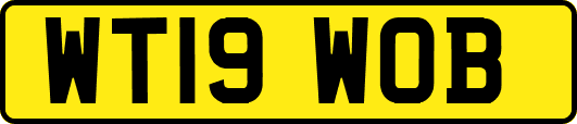 WT19WOB