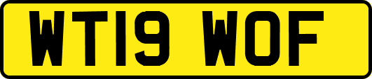 WT19WOF