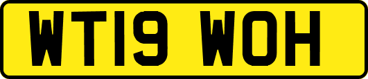 WT19WOH