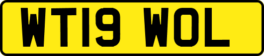 WT19WOL