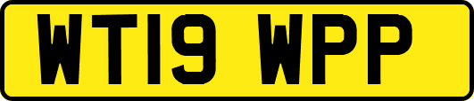 WT19WPP