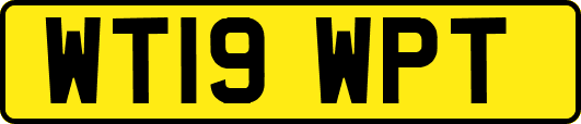 WT19WPT